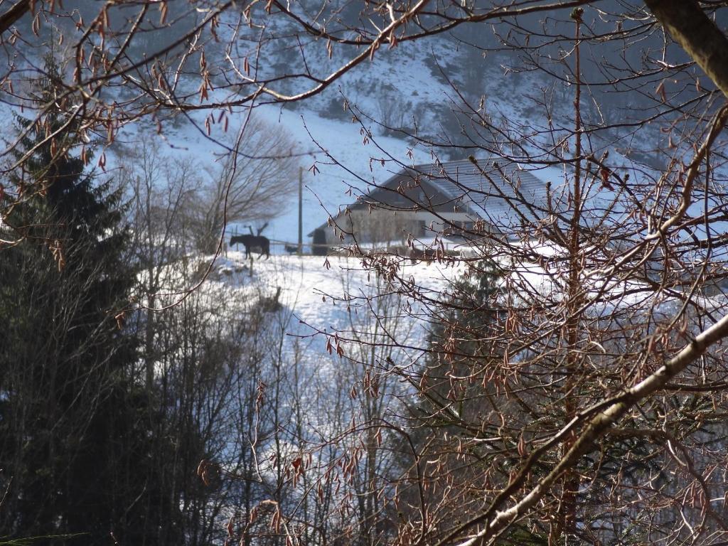 Ferme Auberge A La Colline Ferdrupt Exterior photo