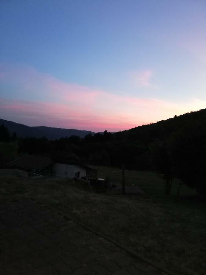 Ferme Auberge A La Colline Ferdrupt Exterior photo